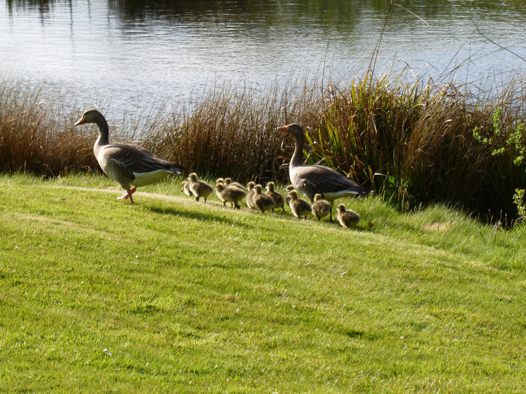 London Beach Country Hotel & Golf Club Tenterden Kültér fotó